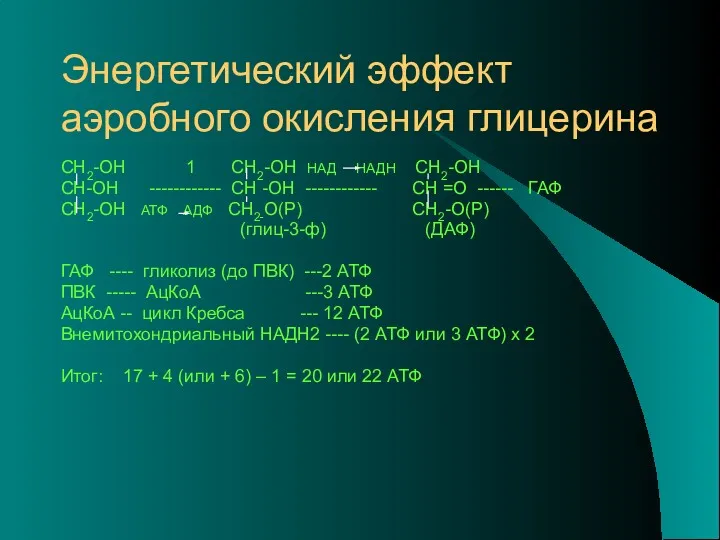 Энергетический эффект аэробного окисления глицерина СН2-ОН 1 СН2-ОН НАД НАДН