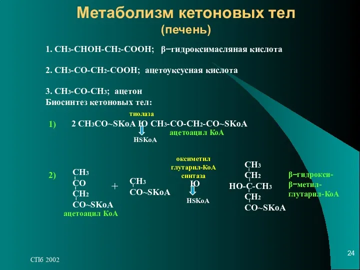СПб 2002 Метаболизм кетоновых тел (печень) 1. СН3-СНОН-СН2-СООН; β−гидроксимасляная кислота