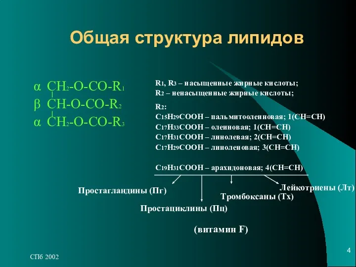 СПб 2002 α СН2-О-СО-R1 β CH-O-CO-R2 α CH2-O-CO-R3 Общая структура