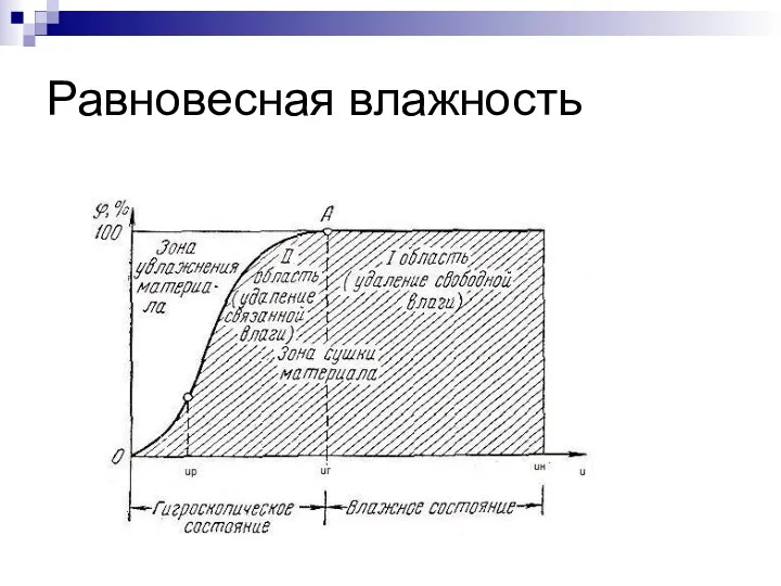 Равновесная влажность