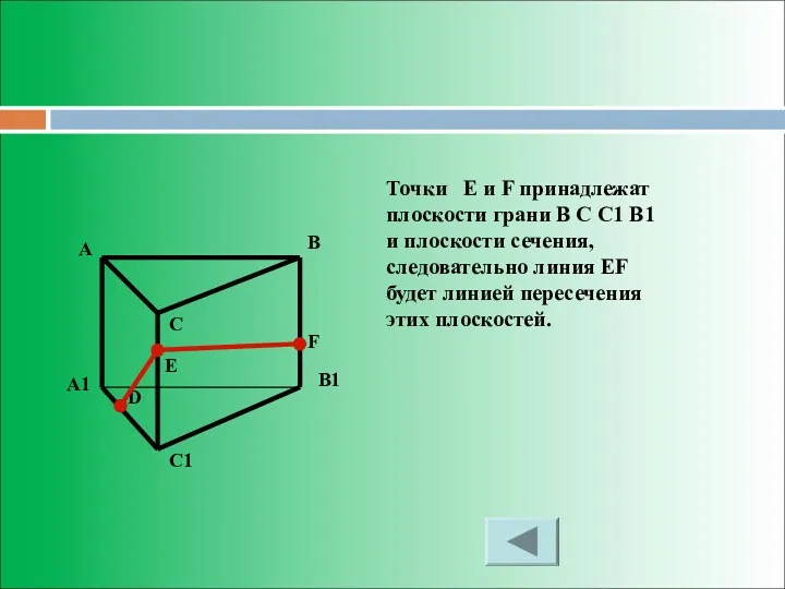 Точки E и F принадлежат плоскости грани B C C1