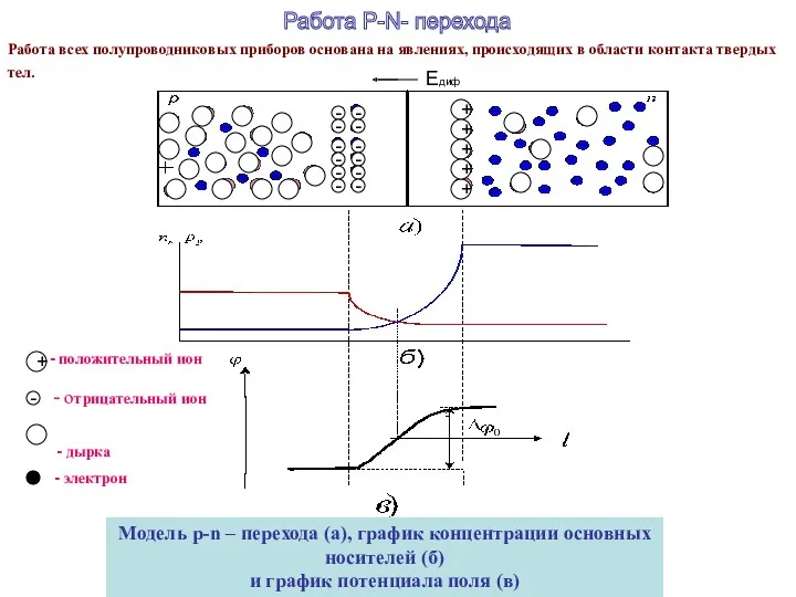 Модель p-n – перехода (а), график концентрации основных носителей (б)