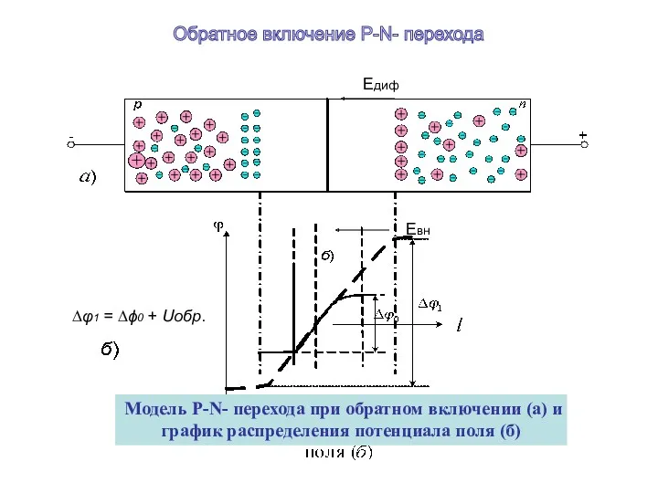 Модель P-N- перехода при обратном включении (а) и график распределения