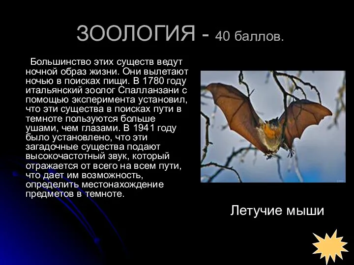 ЗООЛОГИЯ - 40 баллов. Большинство этих существ ведут ночной образ