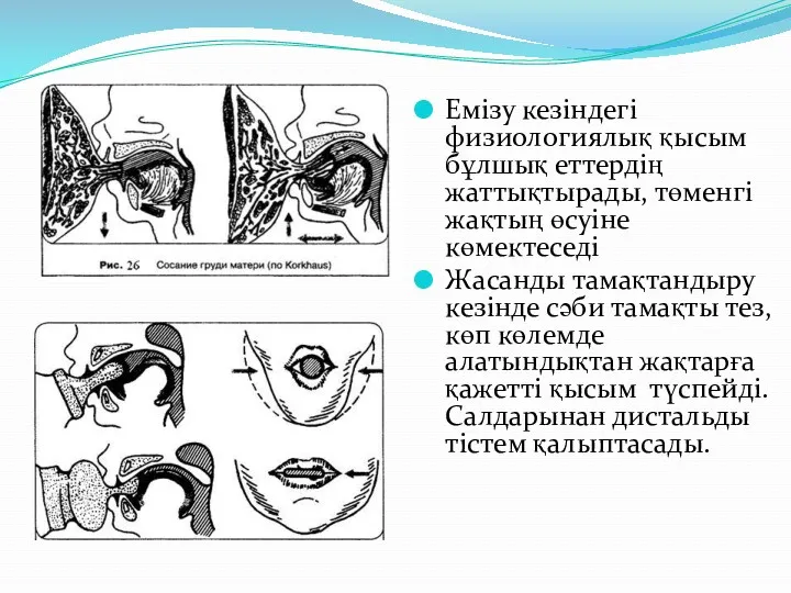 Емізу кезіндегі физиологиялық қысым бұлшық еттердің жаттықтырады, төменгі жақтың өсуіне