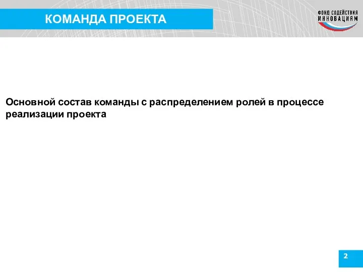 2 КОМАНДА ПРОЕКТА Основной состав команды с распределением ролей в процессе реализации проекта