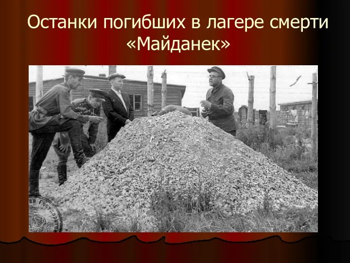 Останки погибших в лагере смерти «Майданек»