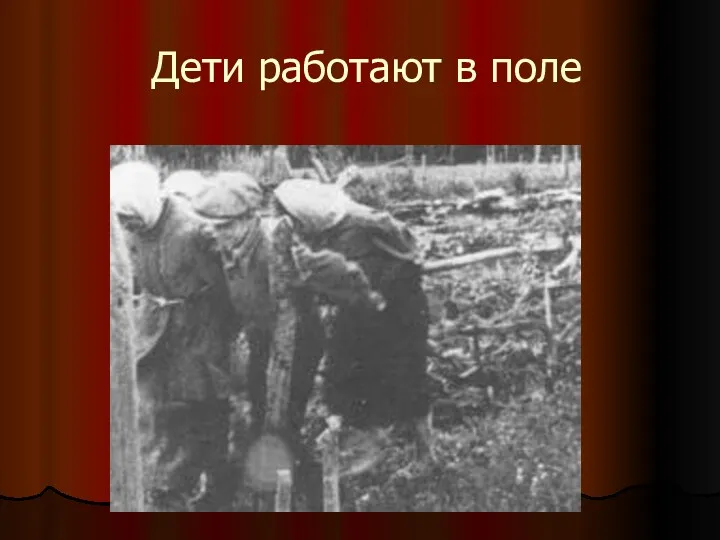 Дети работают в поле