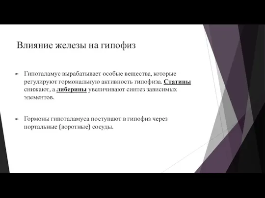 Влияние железы на гипофиз Гипоталамус вырабатывает особые вещества, которые регулируют