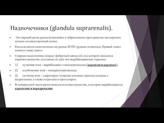 Надпочечники (glandula suprarenalis). Это парный орган, располагающийся в забрюшинном пространстве