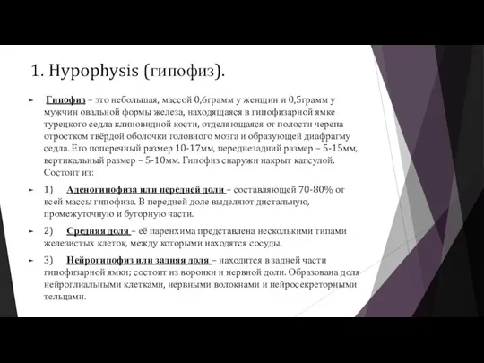 1. Hypophysis (гипофиз). Гипофиз – это небольшая, массой 0,6грамм у