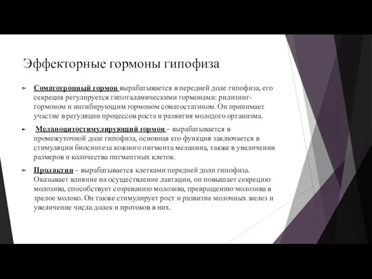 Эффекторные гормоны гипофиза Соматотропный гормон вырабатывается в передней доле гипофиза,