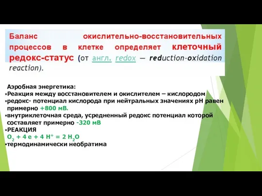 Аэробная энергетика: Реакция между восстановителем и окислителем – кислородом редокс-