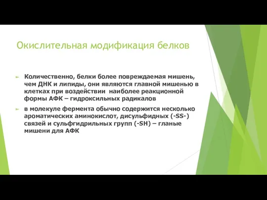 Окислительная модификация белков Количественно, белки более повреждаемая мишень, чем ДНК