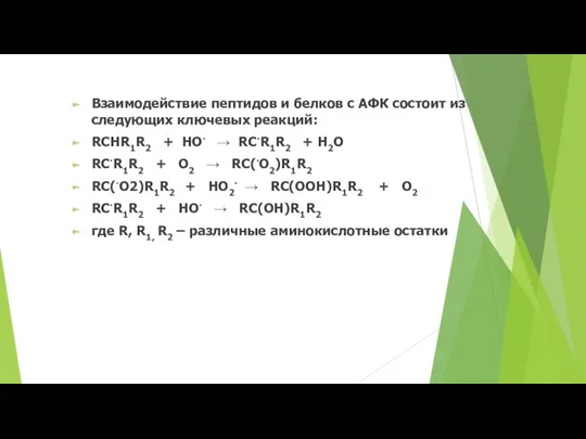 Взаимодействие пептидов и белков с АФК состоит из следующих ключевых