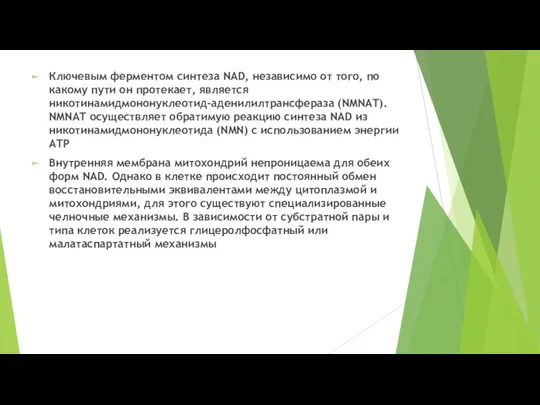 Ключевым ферментом синтеза NAD, независимо от того, по какому пути