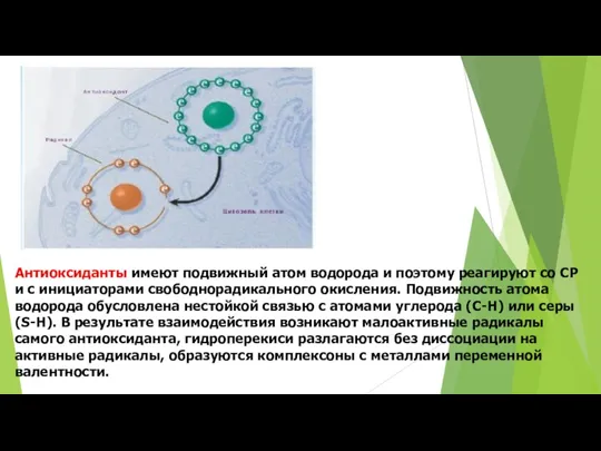 Антиоксиданты имеют подвижный атом водорода и поэтому реагируют со СР