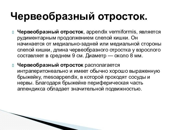 Червеобразный отросток, appendix vermiforrnis, является рудиментарным продолжением слепой кишки. Он