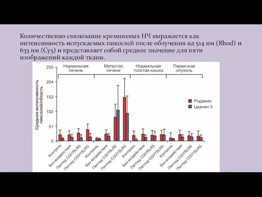 Количественно связывание кремниевых НЧ выражается как интенсивность испускаемых пикселей после