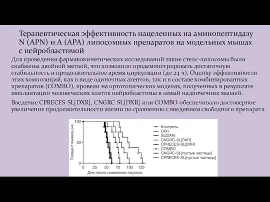 Терапевтическая эффективность нацеленных на аминопептидазу N (APN) и A (APA) липосомных препаратов на