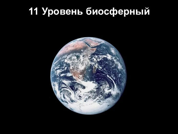 11 Уровень биосферный