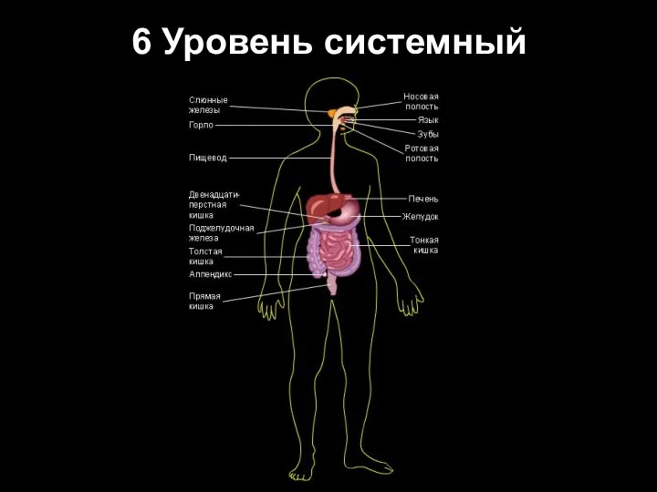 6 Уровень системный