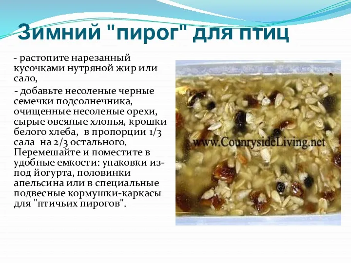 Зимний "пирог" для птиц - растопите нарезанный кусочками нутряной жир