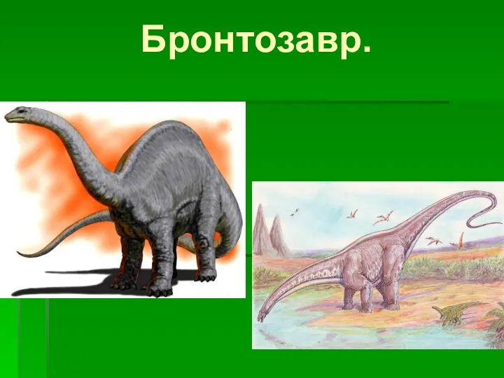 Бронтозавр.
