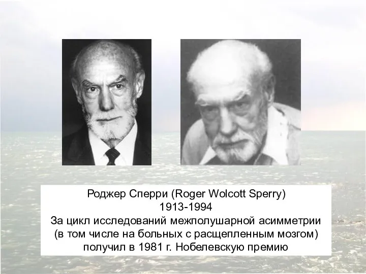 Роджер Сперри (Roger Wolcott Sperry) 1913-1994 За цикл исследований межполушарной