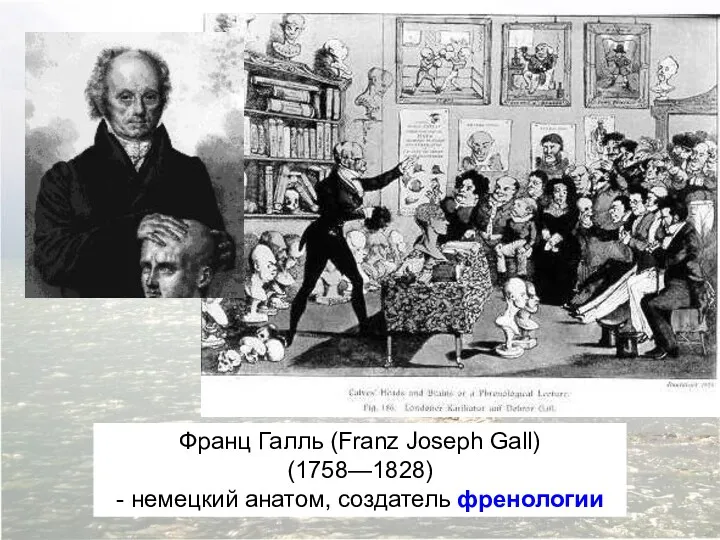 Франц Галль (Franz Joseph Gall) (1758—1828) - немецкий анатом, создатель френологии