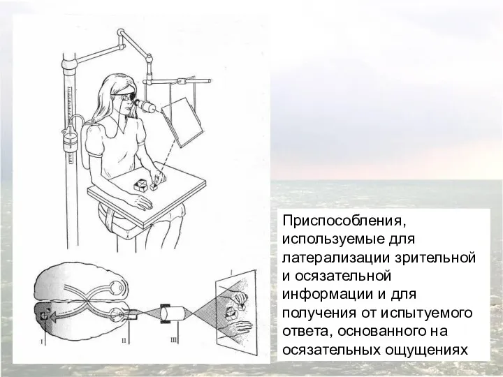 Приспособления, используемые для латерализации зрительной и осязательной информации и для