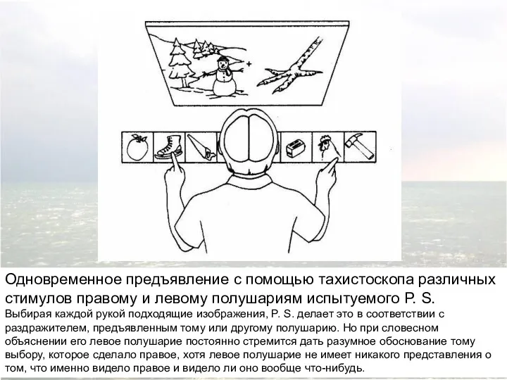 Одновременное предъявление с помощью тахистоскопа различных стимулов правому и левому