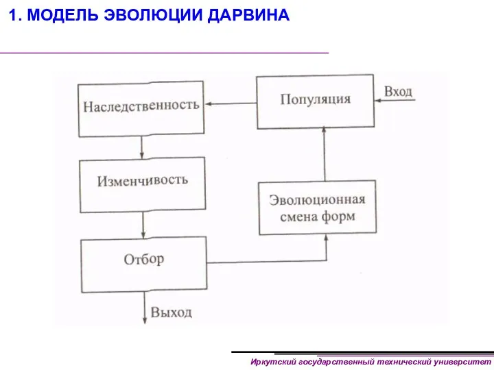 1. МОДЕЛЬ ЭВОЛЮЦИИ ДАРВИНА