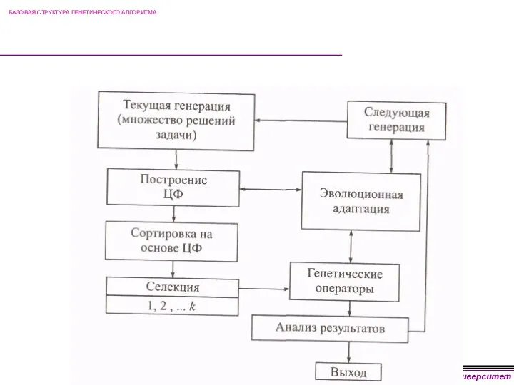 БАЗОВАЯ СТРУКТУРА ГЕНЕТИЧЕСКОГО АЛГОРИТМА