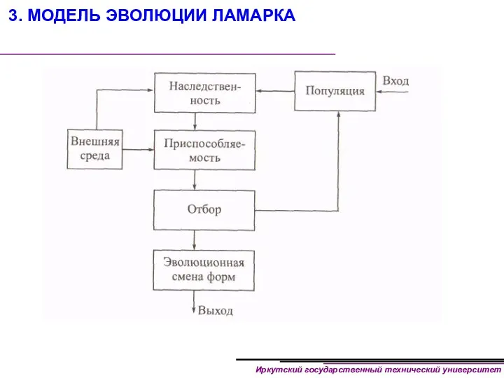 3. МОДЕЛЬ ЭВОЛЮЦИИ ЛАМАРКА