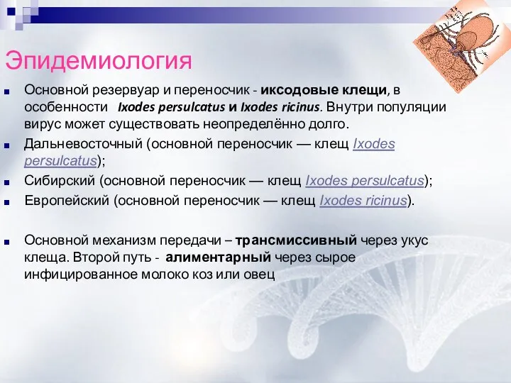 Эпидемиология Основной резервуар и переносчик - иксодовые клещи, в особенности