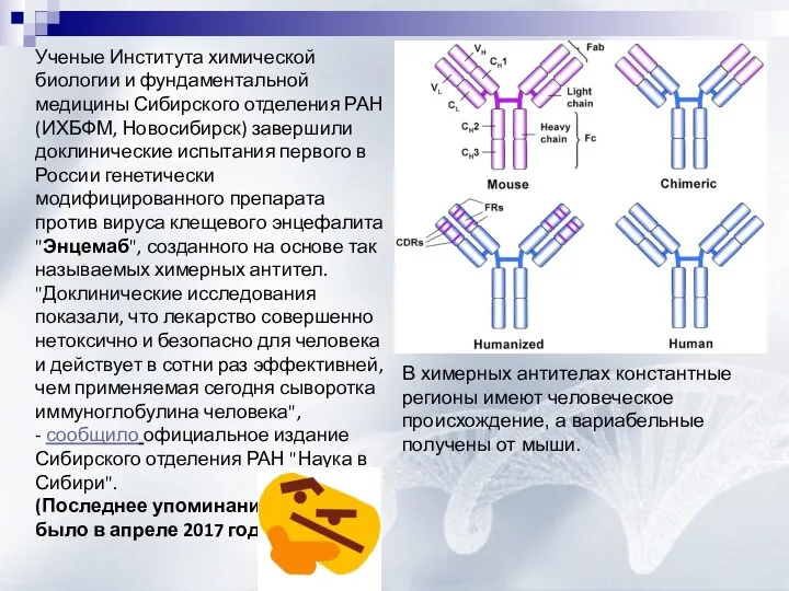 Ученые Института химической биологии и фундаментальной медицины Сибирского отделения РАН