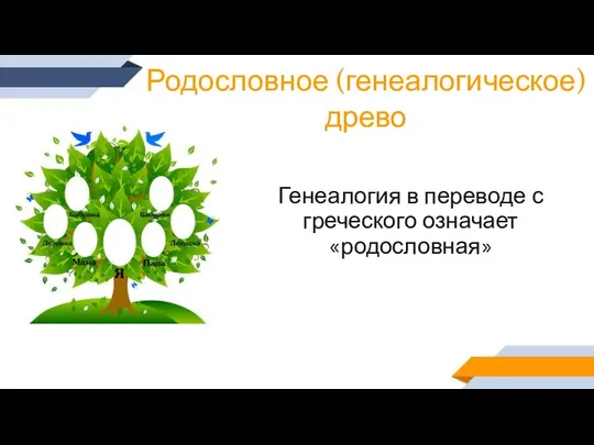 Родословное (генеалогическое) древо Генеалогия в переводе с греческого означает «родословная»