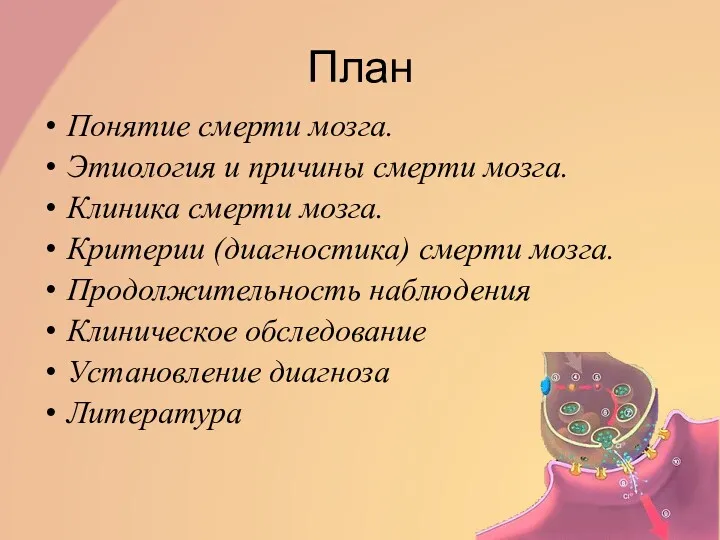 План Понятие смерти мозга. Этиология и причины смерти мозга. Клиника