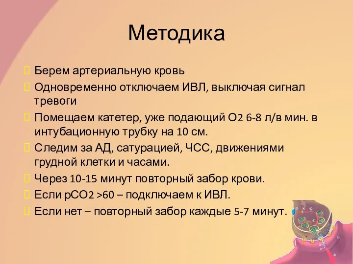 Методика Берем артериальную кровь Одновременно отключаем ИВЛ, выключая сигнал тревоги