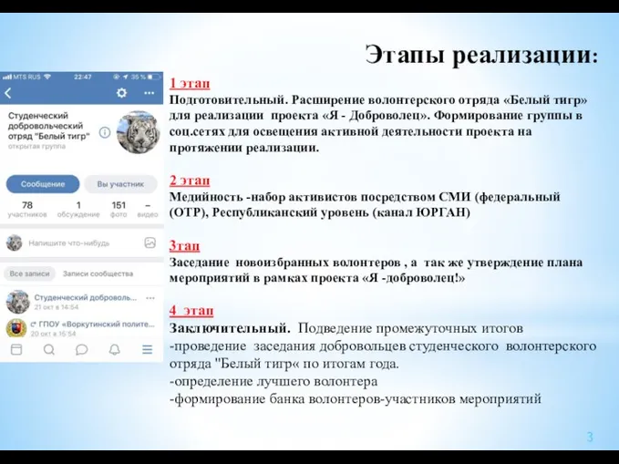 Этапы реализации: 1 этап Подготовительный. Расширение волонтерского отряда «Белый тигр»