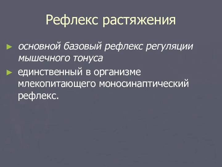 Рефлекс растяжения основной базовый рефлекс регуляции мышечного тонуса единственный в организме млекопитающего моносинаптический рефлекс.