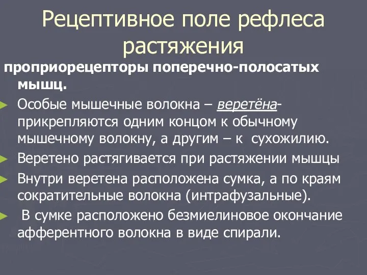 Рецептивное поле рефлеса растяжения проприорецепторы поперечно-полосатых мышц. Особые мышечные волокна