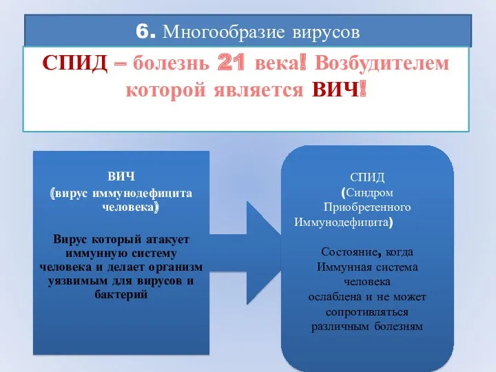 6. Многообразие вирусов СПИД – болезнь 21 века! Возбудителем которой является ВИЧ!