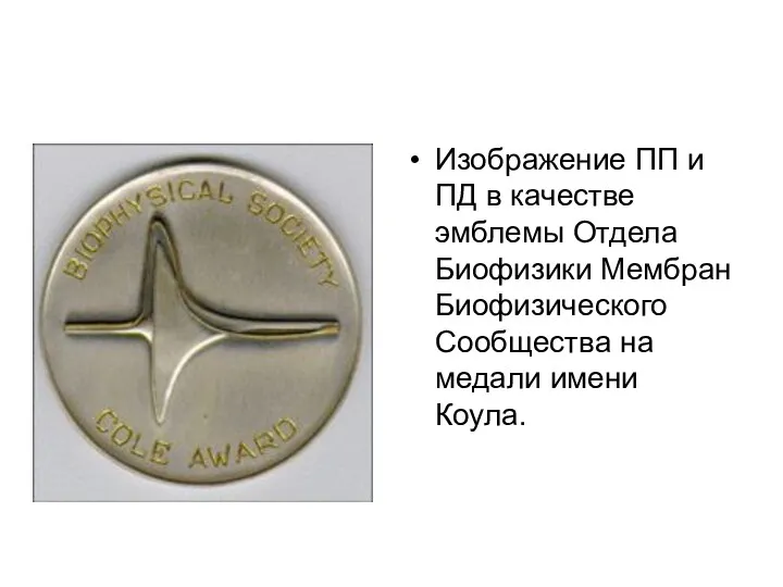 Изображение ПП и ПД в качестве эмблемы Отдела Биофизики Мембран Биофизического Сообщества на медали имени Коула.