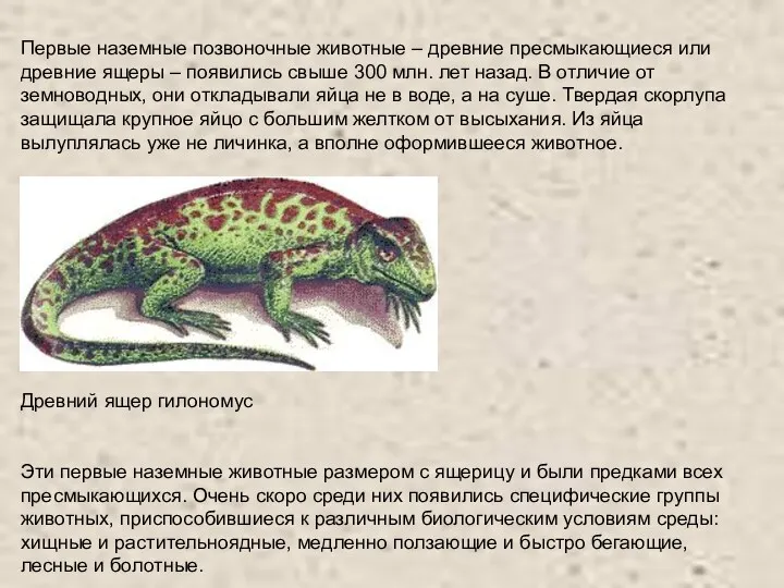 Первые наземные позвоночные животные – древние пресмыкающиеся или древние ящеры