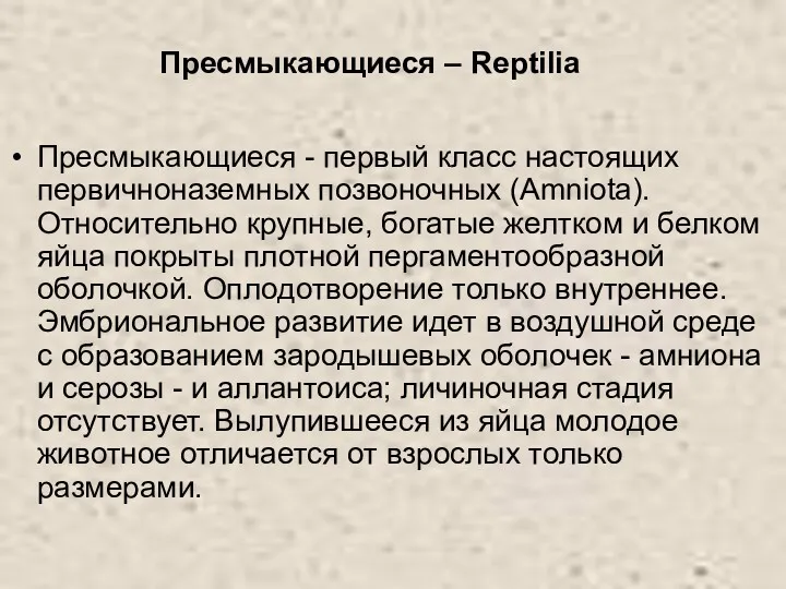 Пресмыкающиеся - первый класс настоящих первичноназемных позвоночных (Amniota). Относительно крупные,