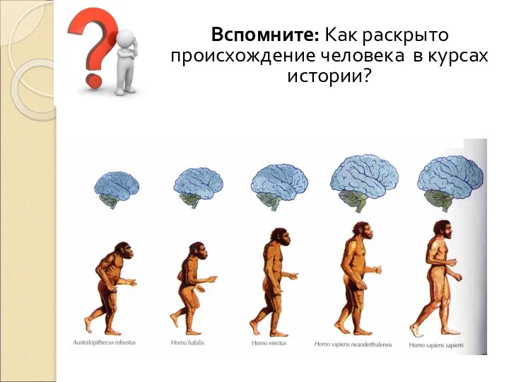 Вспомните: Как раскрыто происхождение человека в курсах истории?