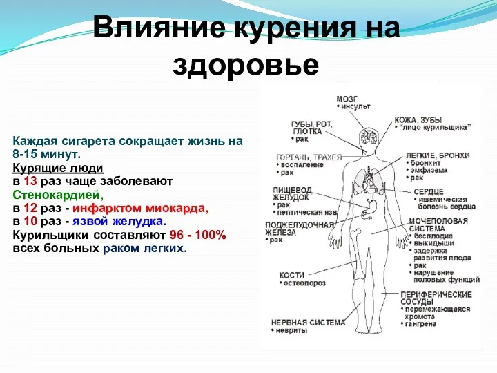 Влияние курения на здоровье Каждая сигарета сокращает жизнь на 8-15