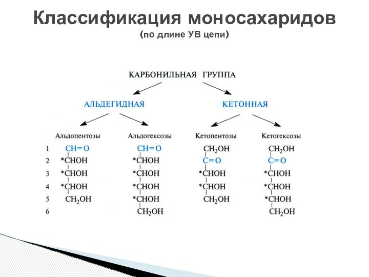 Классификация моносахаридов (по длине УВ цепи)